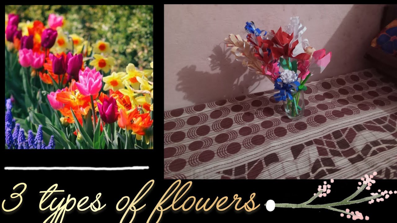 🌺🌷💐Flowers 💐🌹🌼