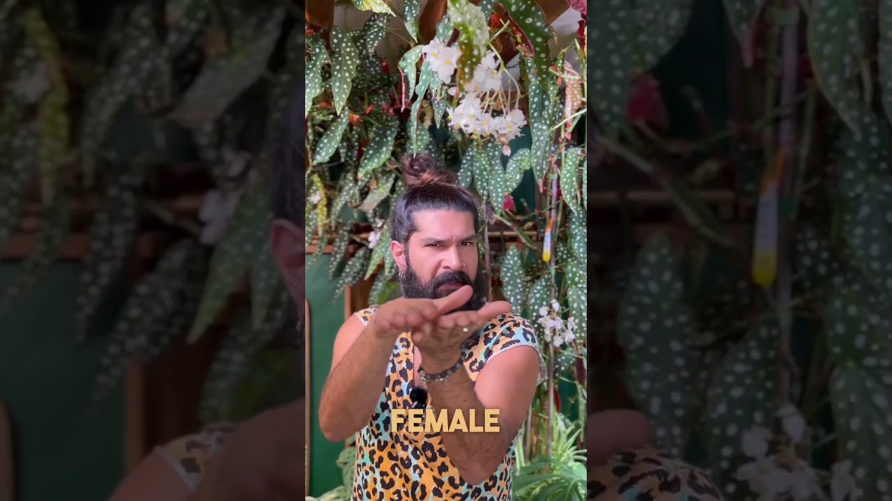 Do you know what a « monecious » plant is?!