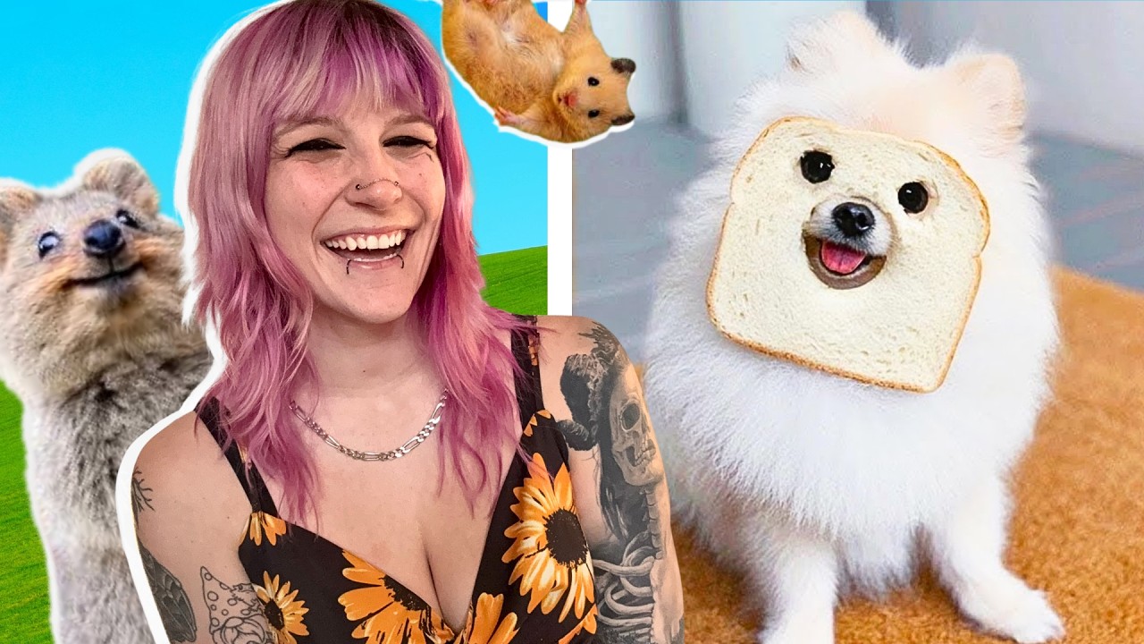 Former Zookeeper Reacts To CUTE Animals Clips! - QueenOfVikings
