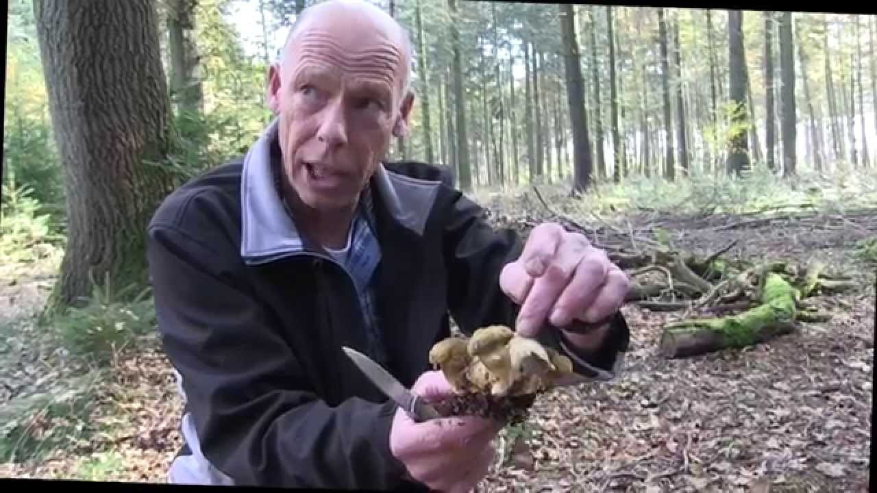 Wandelen met Henk Eikholt, herfst,  lange versie