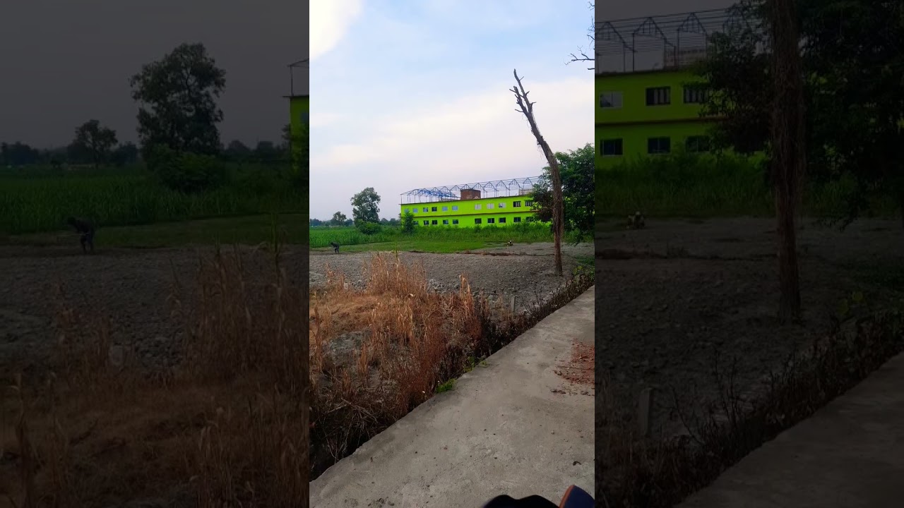 plot 2100Sq fit Rates Kushinagar Thai 7678154820