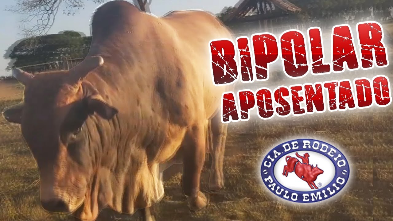 Visita a Fazenda Paulo Emílio 🐂 Máquinas de Pulo
