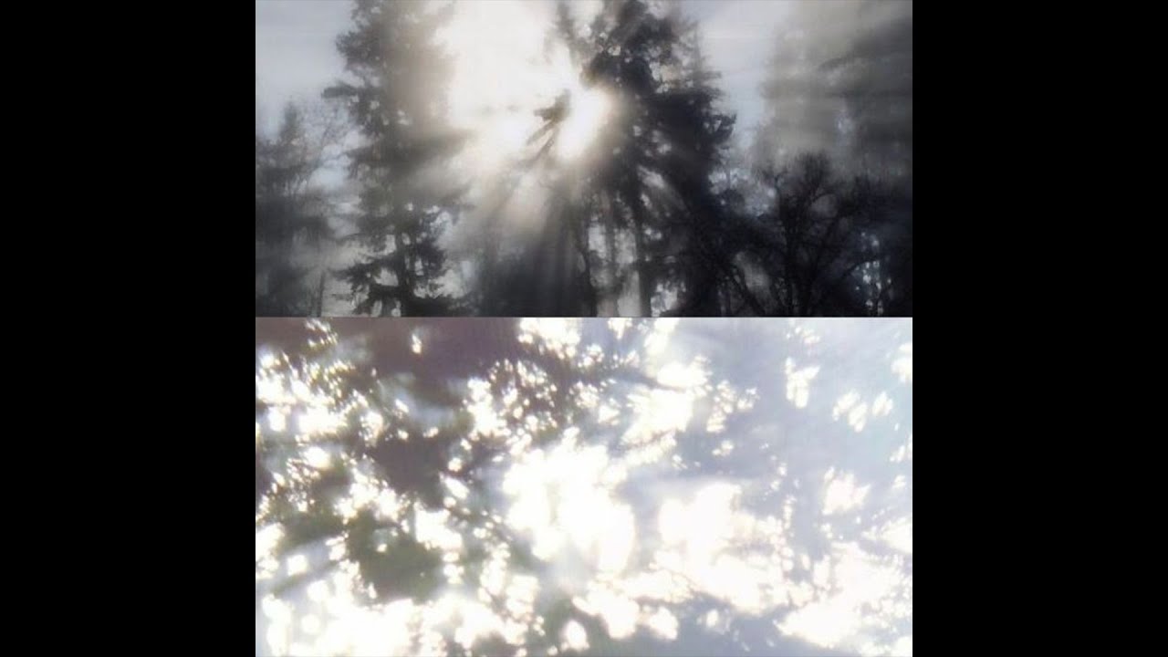 [free] tana + untiljapan type beat - 