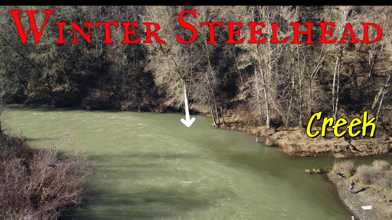 January Steelhead fishing Washington State