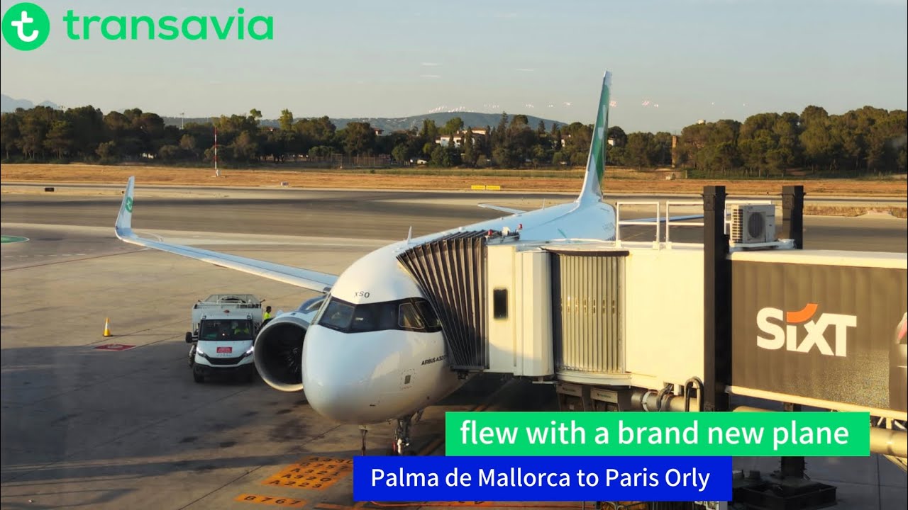 ✈️ Trip Report | Transavia France A320neo | Palma de Mallorca ➜ Paris Orly | F-HXSO  🇪🇸🇫🇷