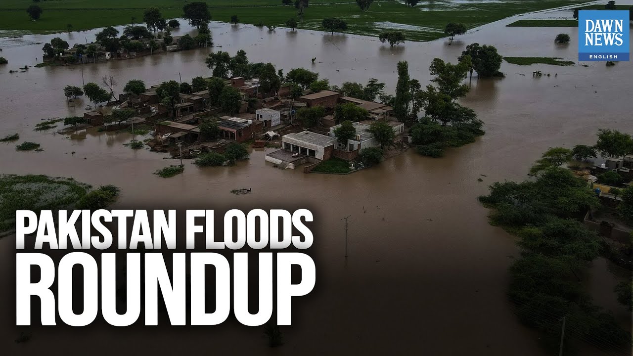 Pakistan Floods: NDMA Evacuates 210,000, Punjab Seeks Army Assistance for Relief Efforts | Roundup