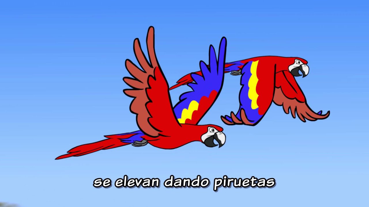 17. Escándalo de vida. Selva tropical