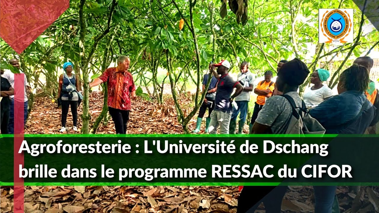 Agroforesterie : Le CIFOR finance le programme RESSAC à l'Université de Dschang
