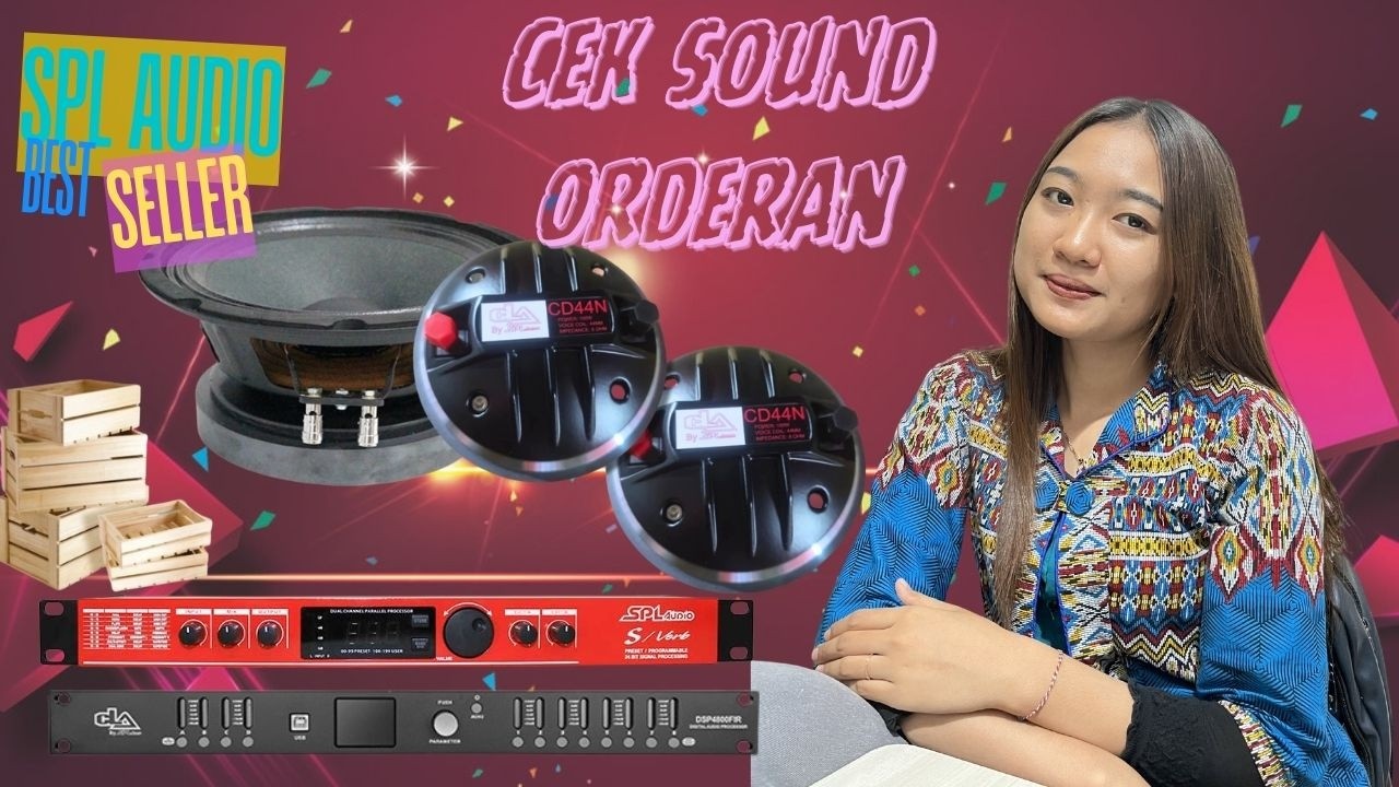 CEK SOUND BOSKU ORDERAN COSTUMER DLMS 4800FIR-VERB SPL AUDIO-SPEAKER 8P650-DRIVER TWEETER CD 44N