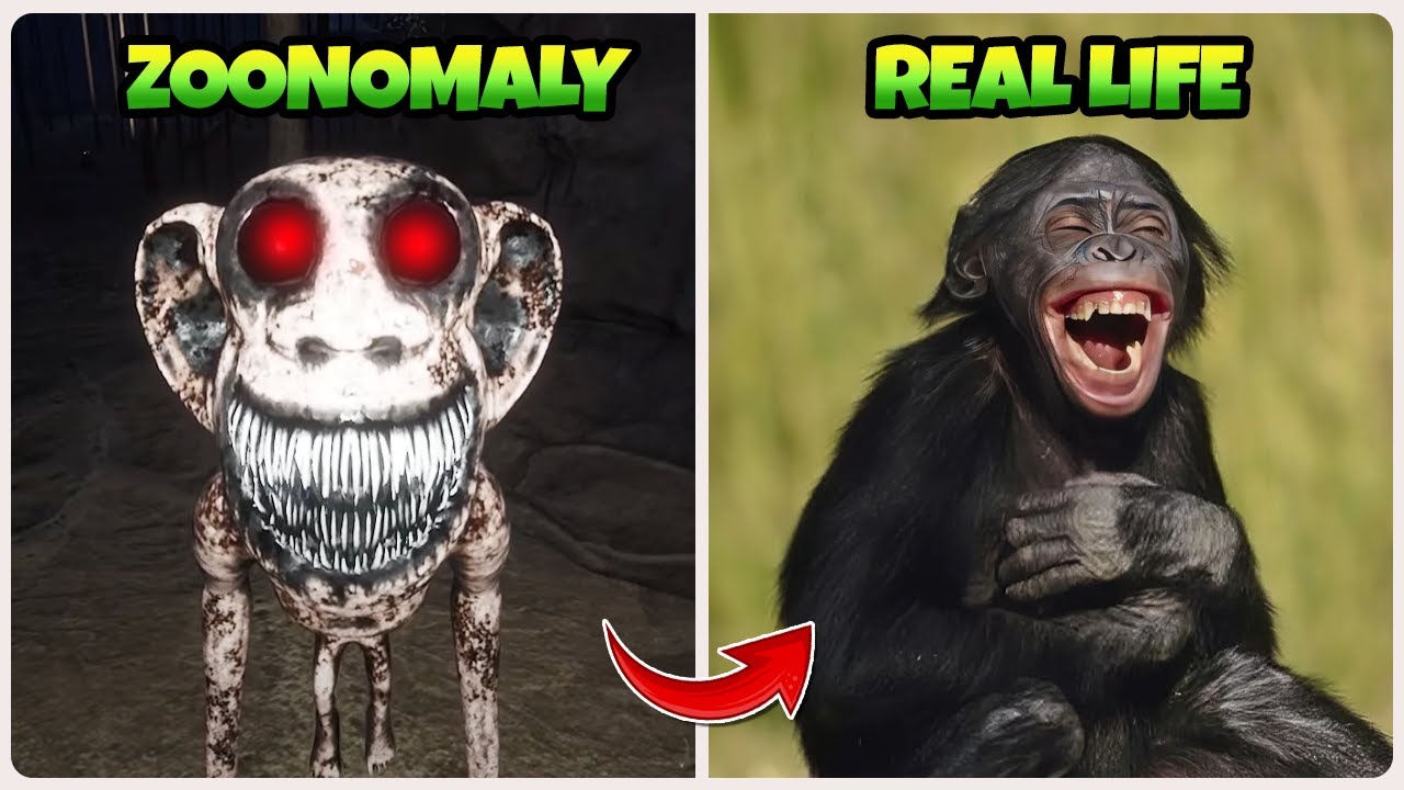 Zoonomaly Characters - Game Versions and Real Life Memes| Funny Video