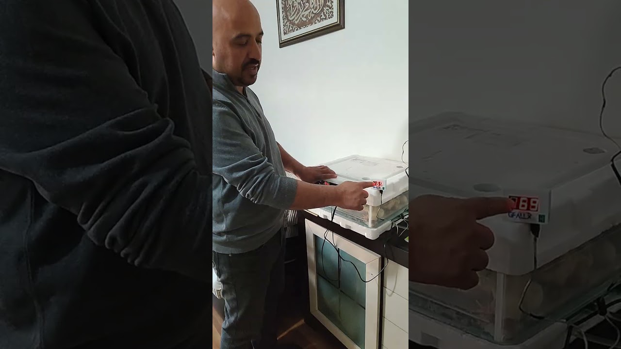 Yeni çıkımımız. 32 tane