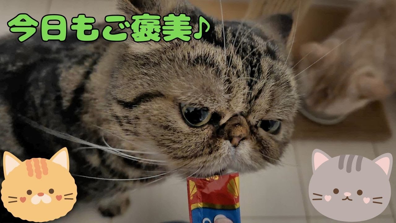 ♯268 今日のご褒美♪今日も？！ご褒美ｗｗ