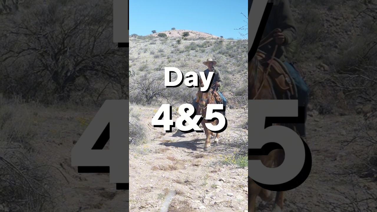 Riding my horses from Mexico to Canada - Day 4&5 #cowboy #horses #america #travel #wilderness