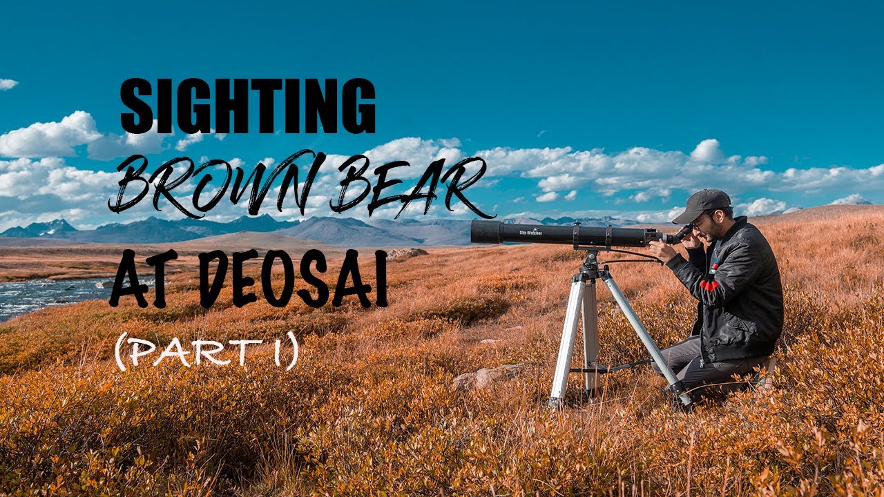 BROWN BEAR SIGHTING AT DEOSAI (PART I)