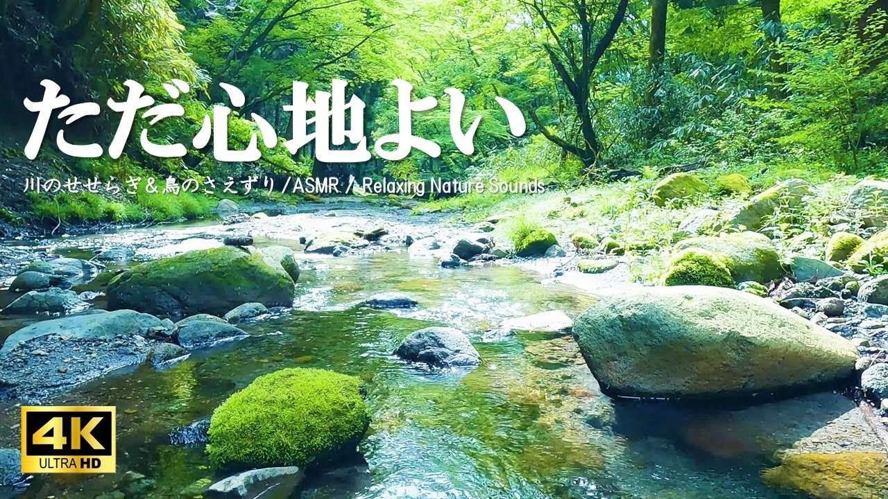 ただ心地よい水の音 新緑の森に響く鳥のさえずり:自律神経を整える、リラクゼーションにご活用ください【自然音,ASMR,4K,relaxing  nature sounds】