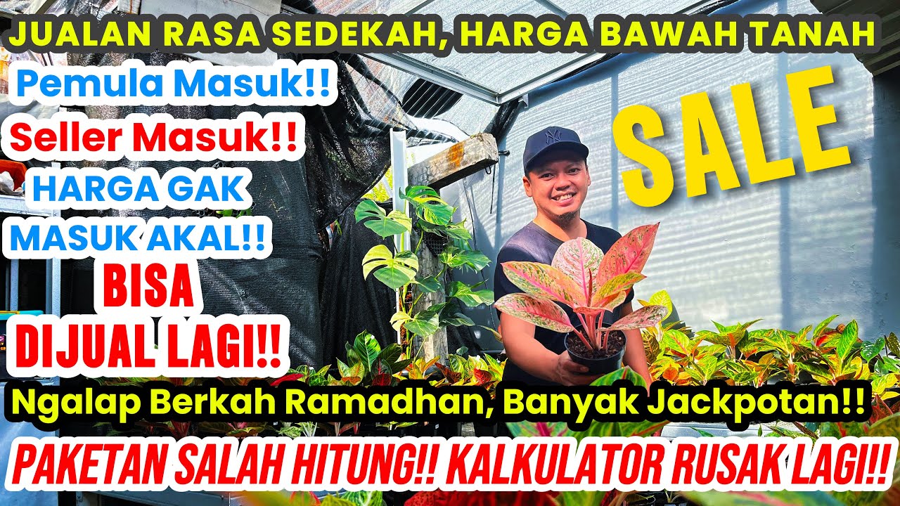 [Jualan Eps 008] Paketan Salah Hitung!! Banyak Jackpotan!!!