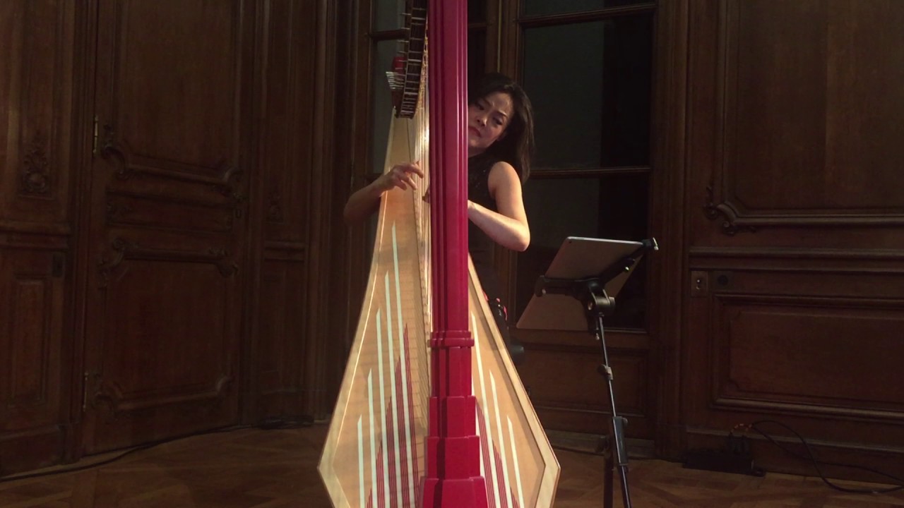 Lavinia Meijer: Etude n°17 (Philip Glass) Harp Paris 2017