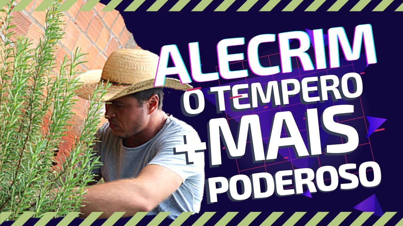 Como usar o ALECRIM para TEMPERAR (+ Receita de Chimichurri na Prática)