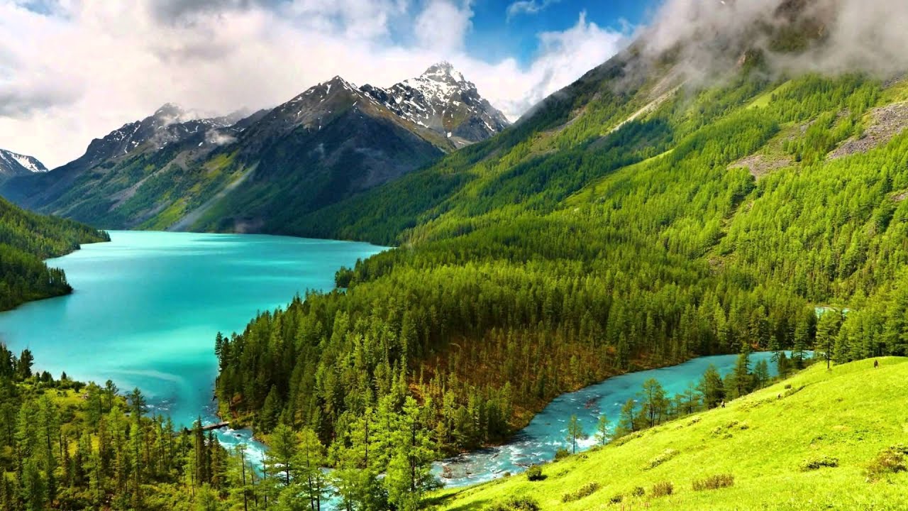 Gadfly -  Andre Rieu  (Dmitri Shostakovich) RUSSIA