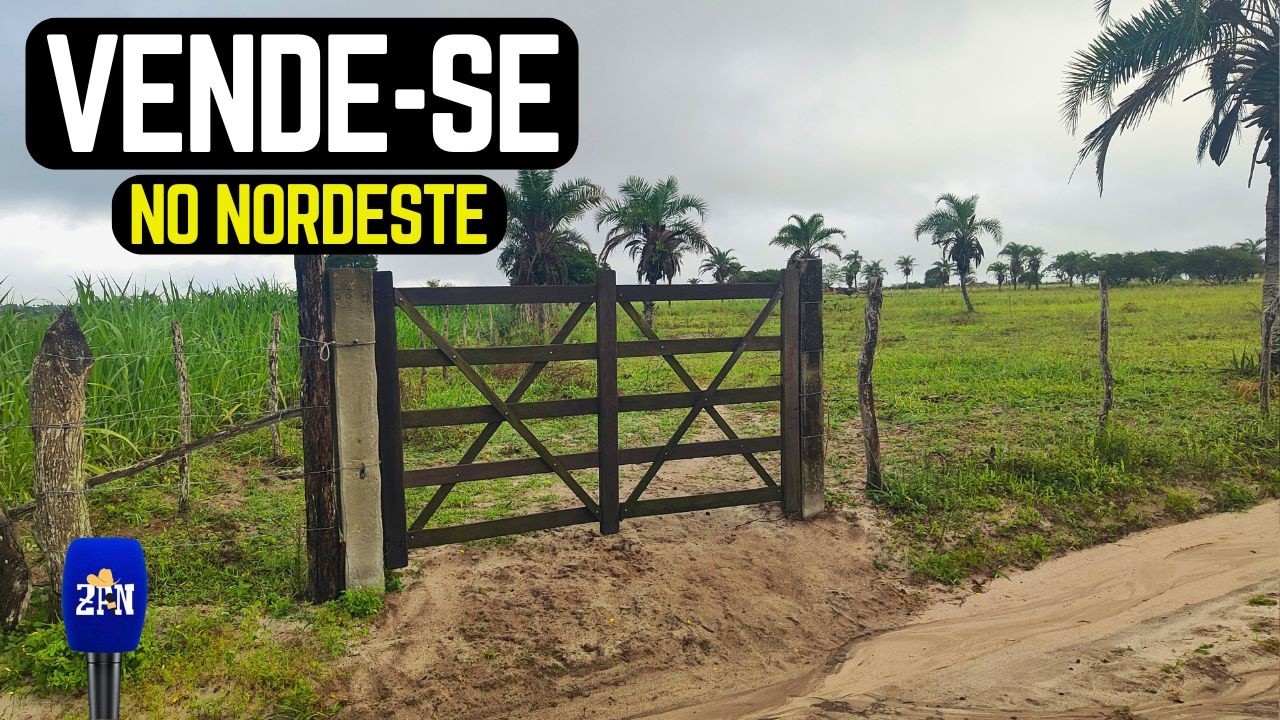 TERRENO A VENDA 2,3 HECTARES NO NORDESTE R$100 MIL REAIS #terreno