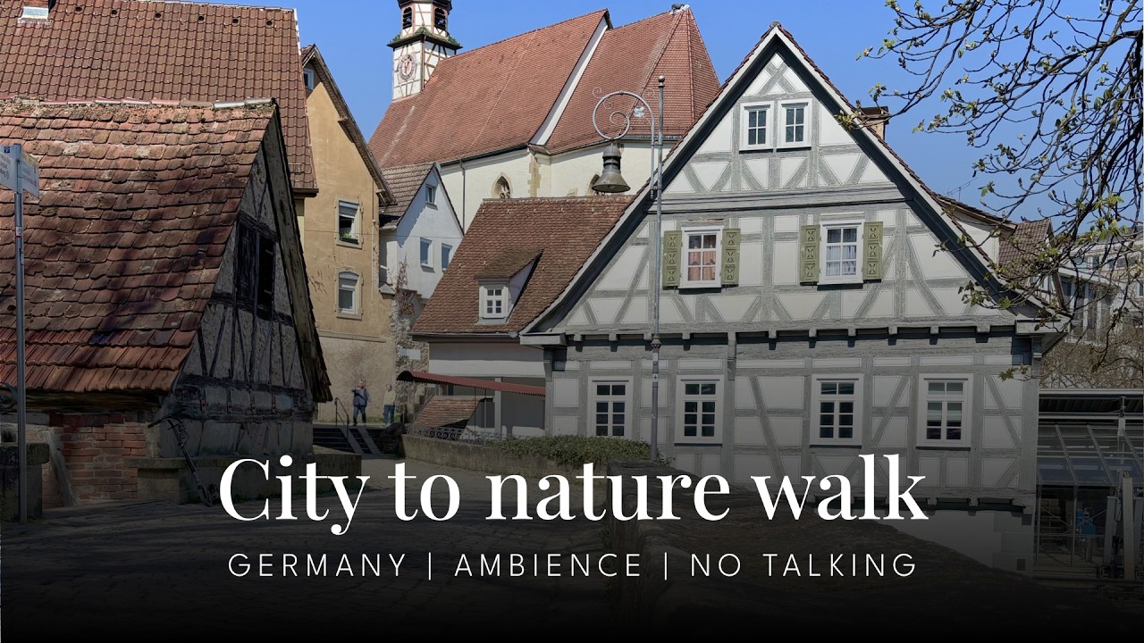 Relaxing Riverside Walk in Germany | Sunny Nature Ambience | No Talking