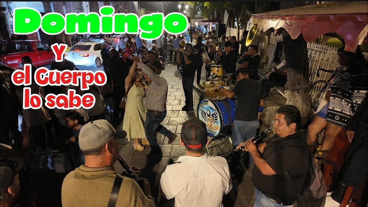 la Música 🎵 se Apoderado de Jerez , Saludos GENTE Hermosa y Trabajadora 😱😅 🤠📹❤️‍🔥
