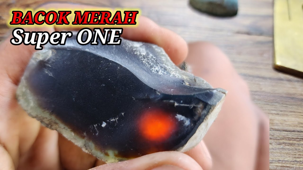 CIRI CIRI BACAN COKLAT KUALITAS TINGGI,, WOOOOWW..!!!!    sungguh istimewa