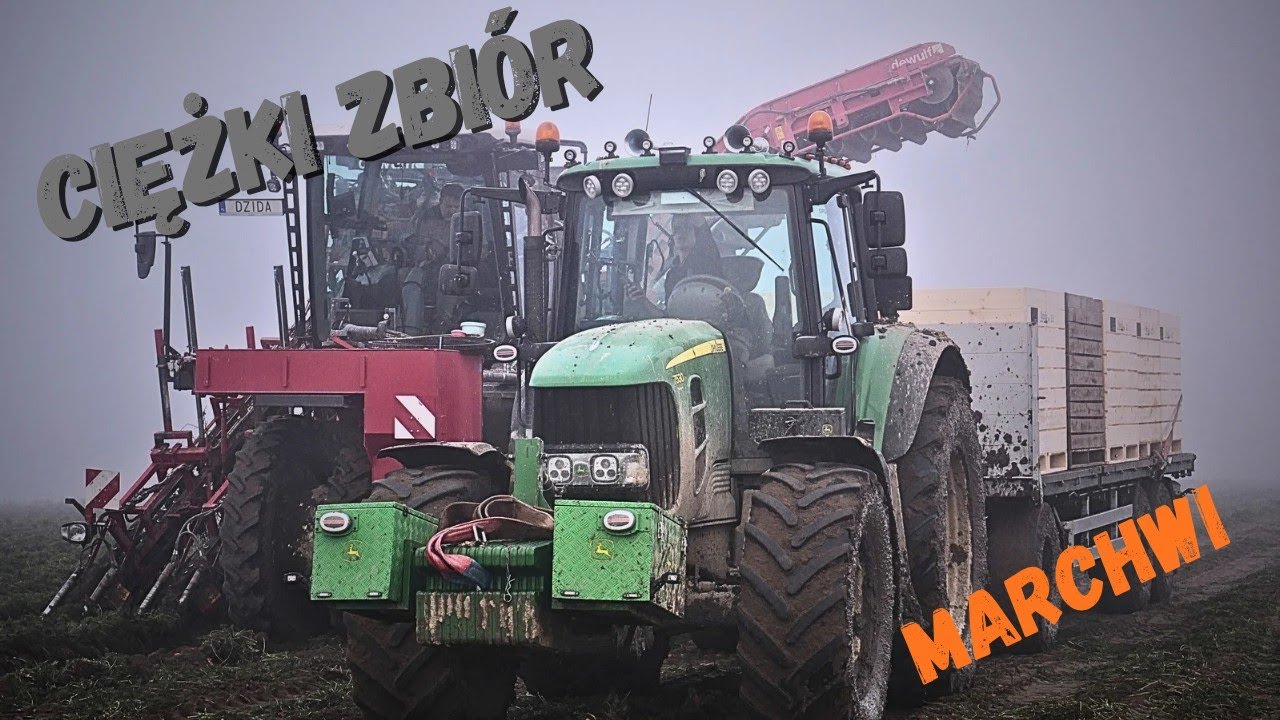 🇵🇱Ciężki i Mglisty Zbiór Marchwi W Dzida-Produkt🥕🇵🇱 2x Dewulf & 4x John Deere🔥Agro michu😀
