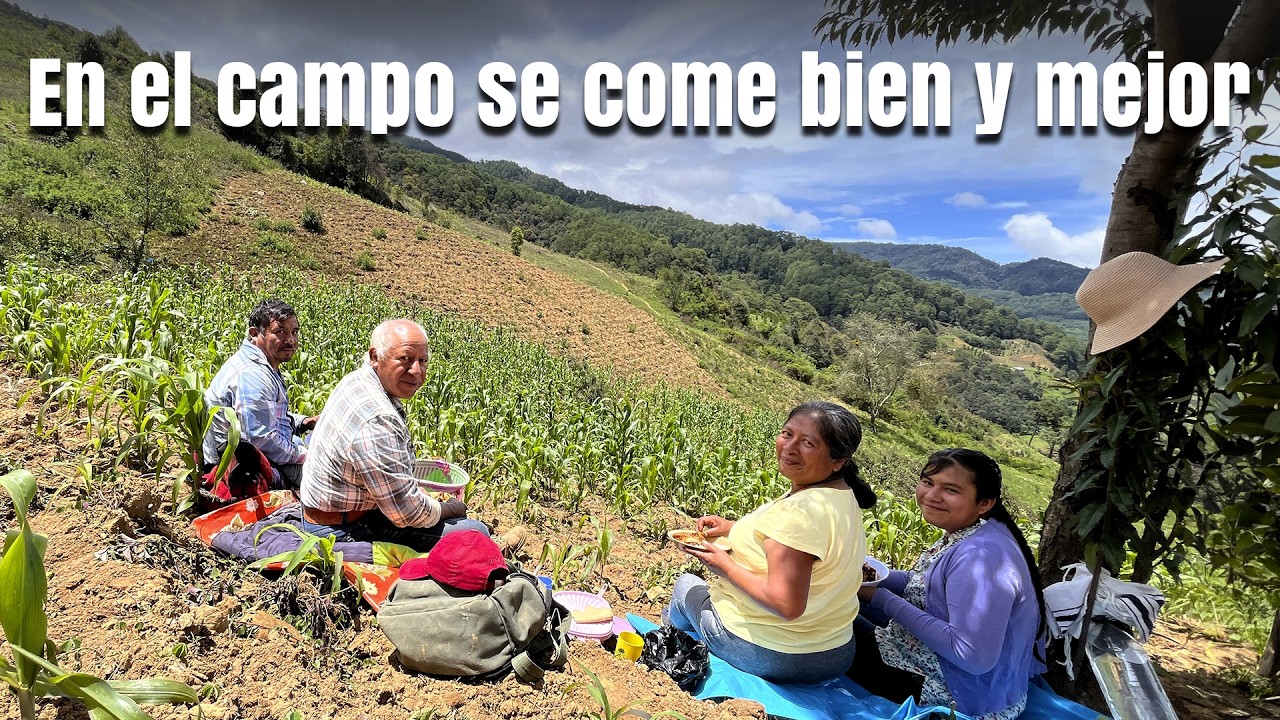 Mi esposo se esfuerza mucho en el trabajo, así que voy a llevarle su comida favorita al campo