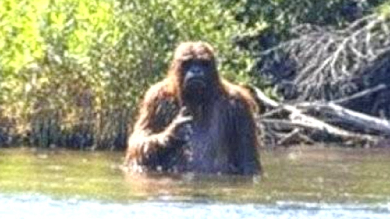 This Fisherman Just Released The Clearest Video Of A Bigfoot Ever Taken..