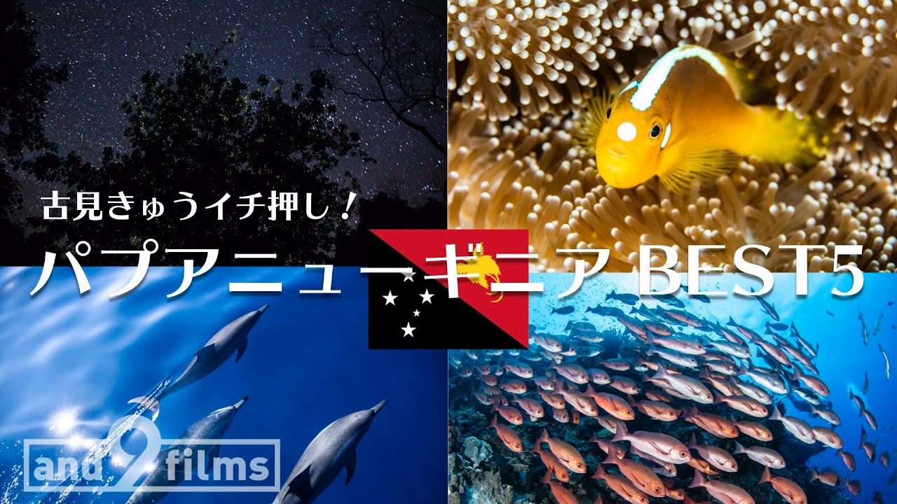 古見きゅうイチ押しパプアニューギニアの見所BEST5！絶景のサンゴ礁から変な生き物まで！