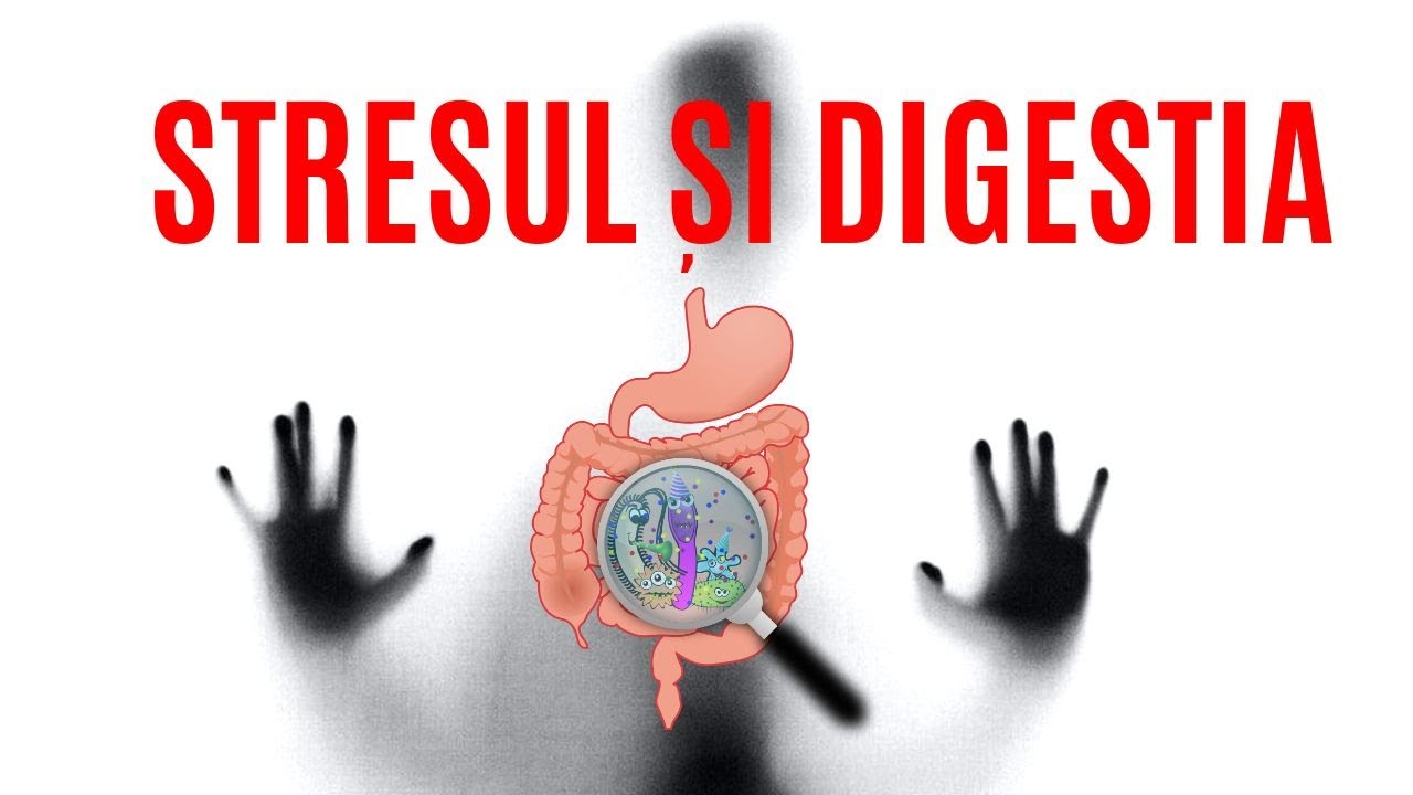Stresul şi digestia. Cum să ai o digestie mai bună!