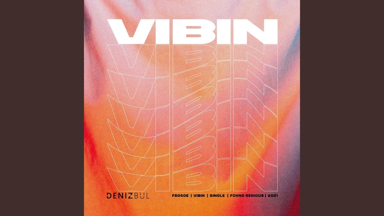 VIBIN (Extended Mix)