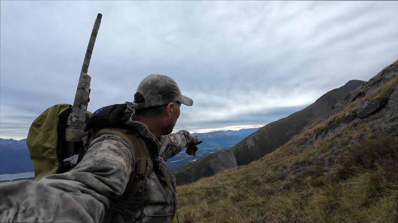 The One Day Dall Sheep Hunt