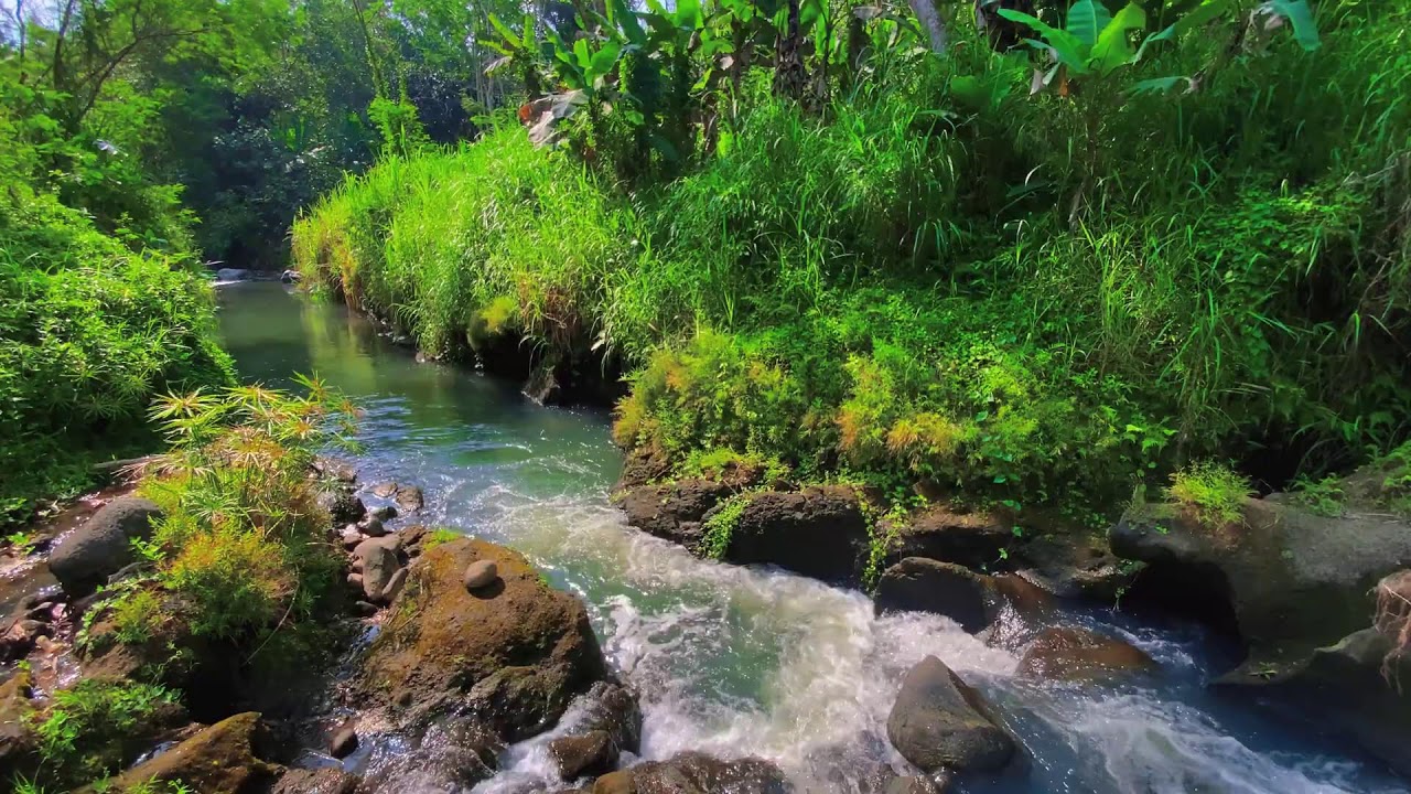 Calming River Sounds – 10 Hours of Natural ASMR for Focus & Anxiety Calm