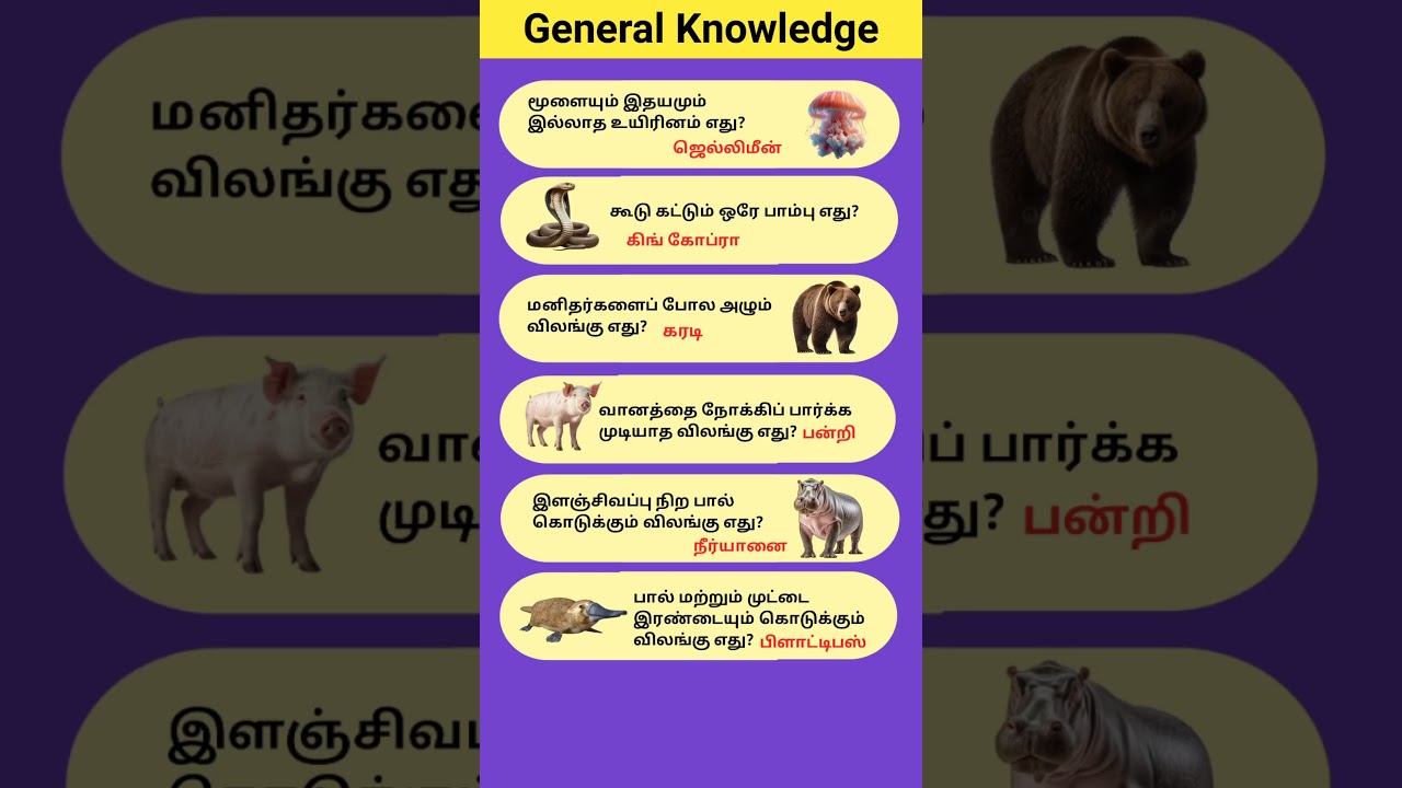 gk question