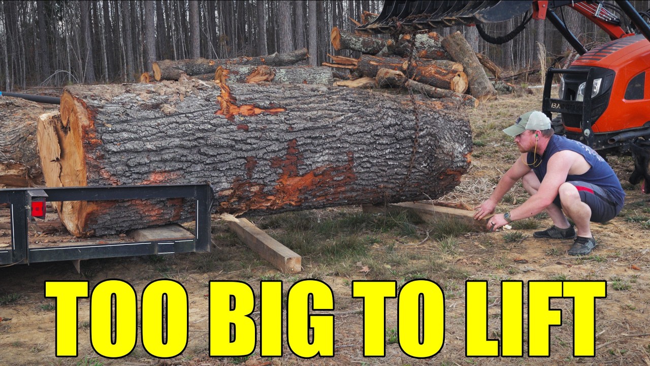Day 697 - Ice Storm Cleanup & Massive Oak Logs