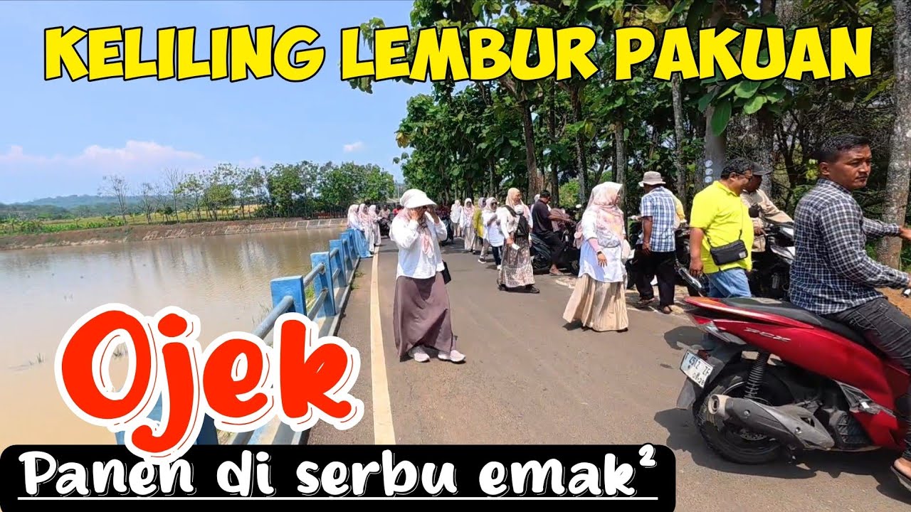 WADUHHH ADA APA DAH RAME BANGET DI SITU CIKADONGDONG LEMBUR PAKUAN