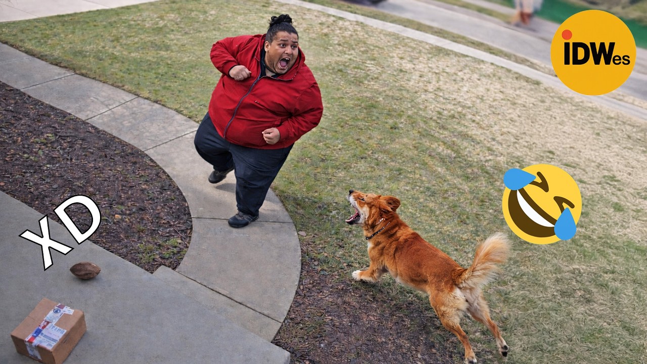 SI TE RÍES PIERDES NIVEL DIOS #403 🤣 VIDEOS DE RISA MUY GRACIOSOS 2026😆