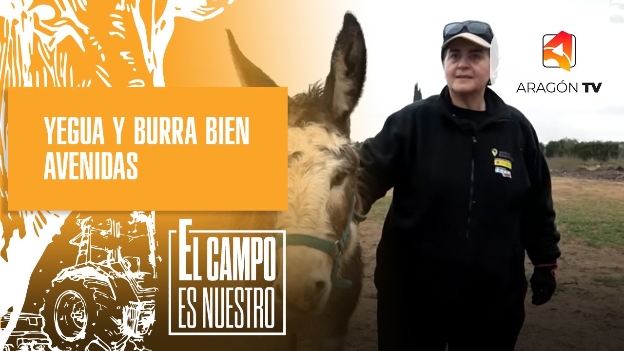 Yegua y burra bien avenidas | Concha Molina
