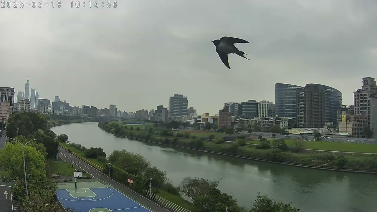 20250319 TimeLapse