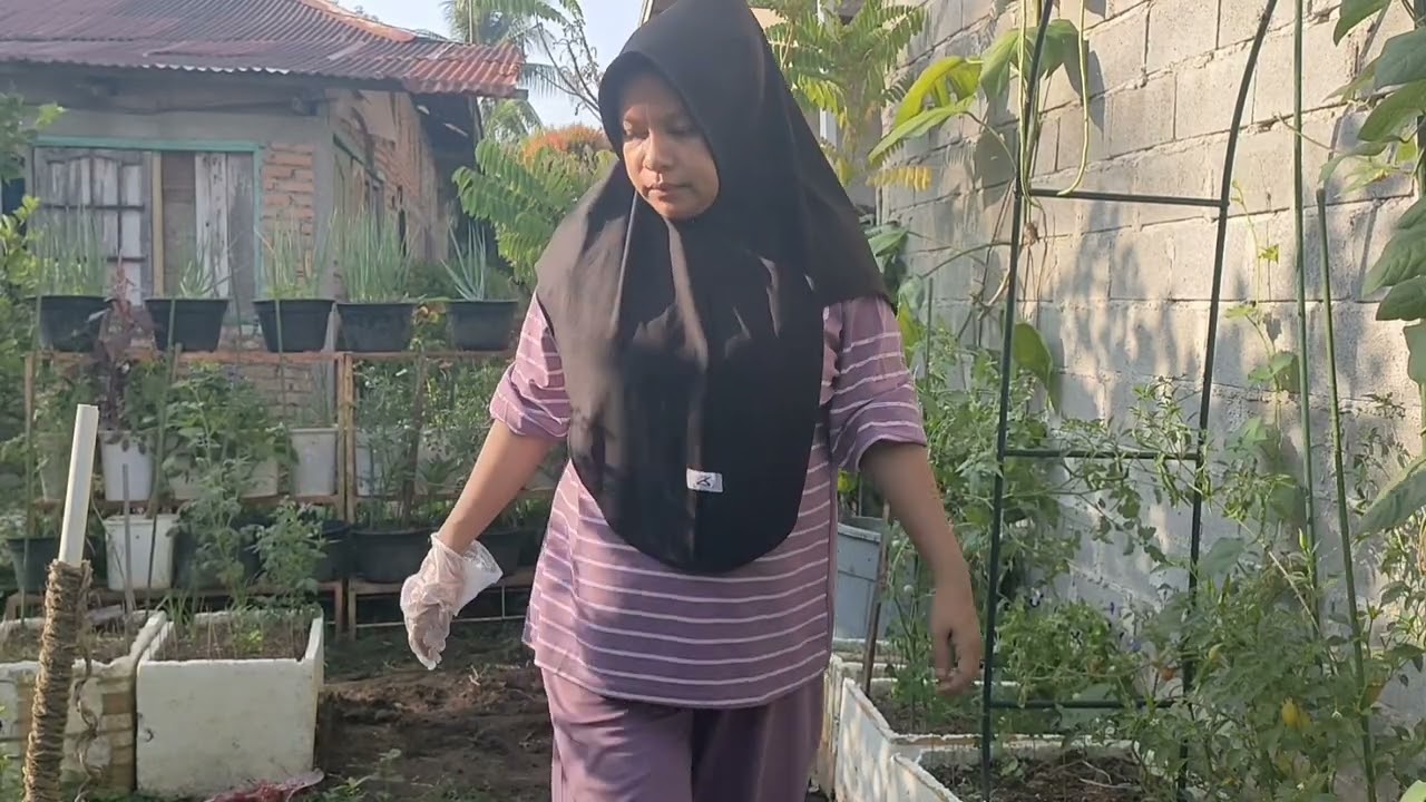 Ganti Suasana baru di kebun halaman rumah #kebunhalaman 