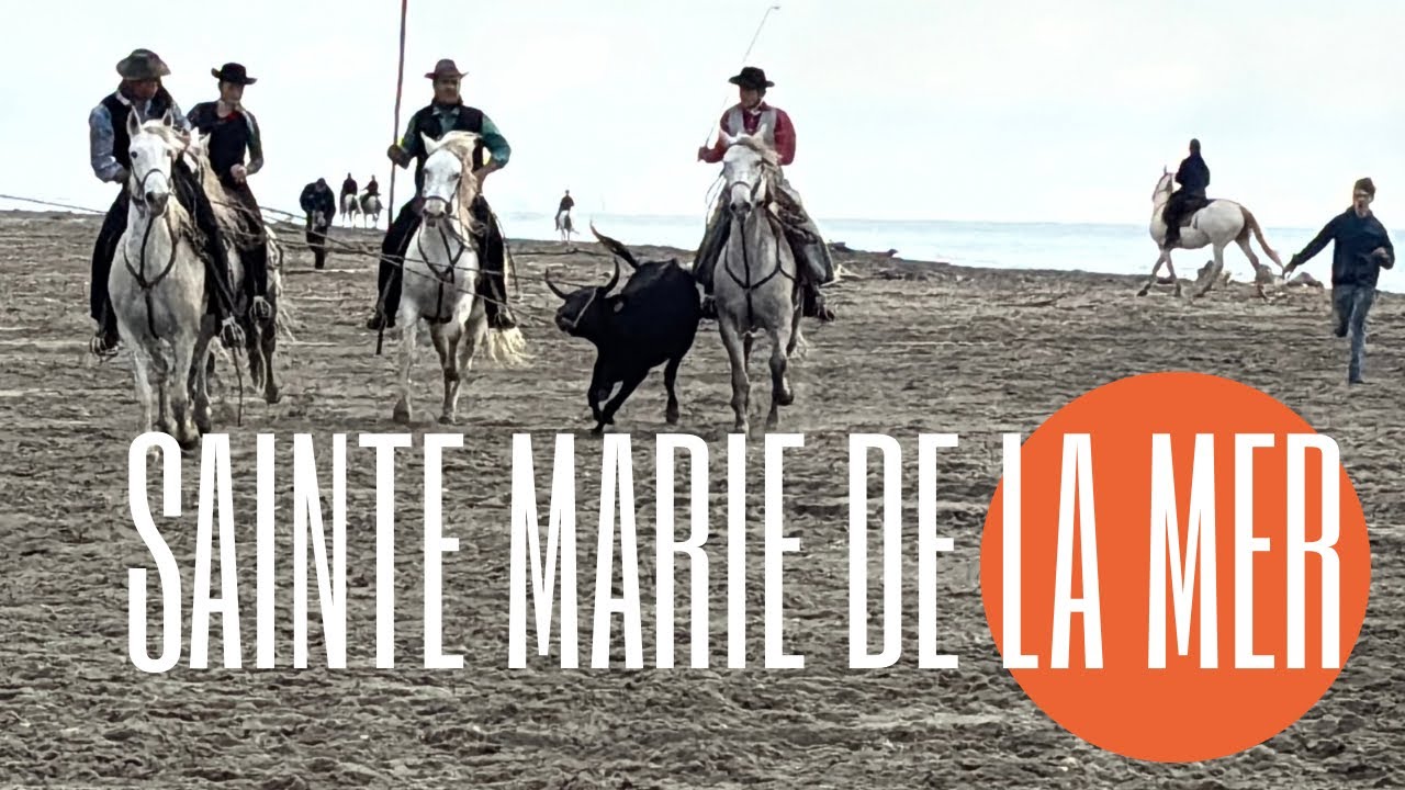 🐂 Je l’ai pris « plein fer » ￼￼ 🫣 Concours de Ferrades ➡️ Sainte Marie de la Mer 🇫🇷 23/20/24