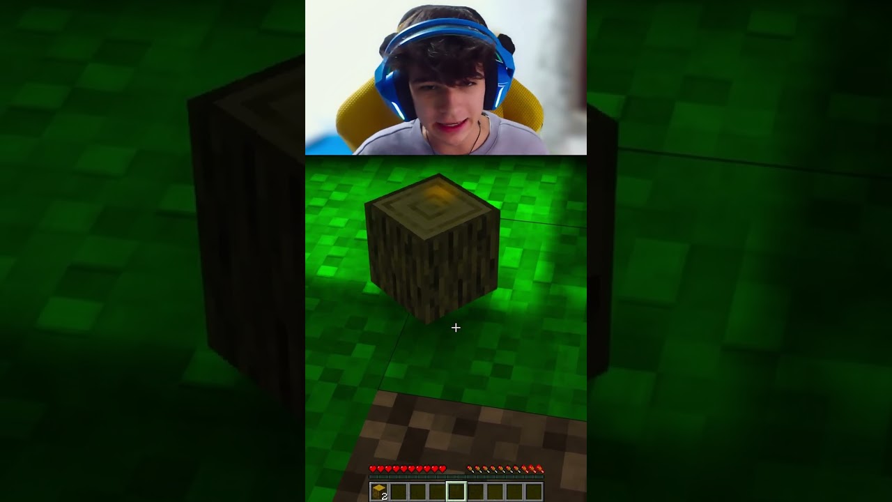MINECRAFT MA... NON POSSO MUOVERMI