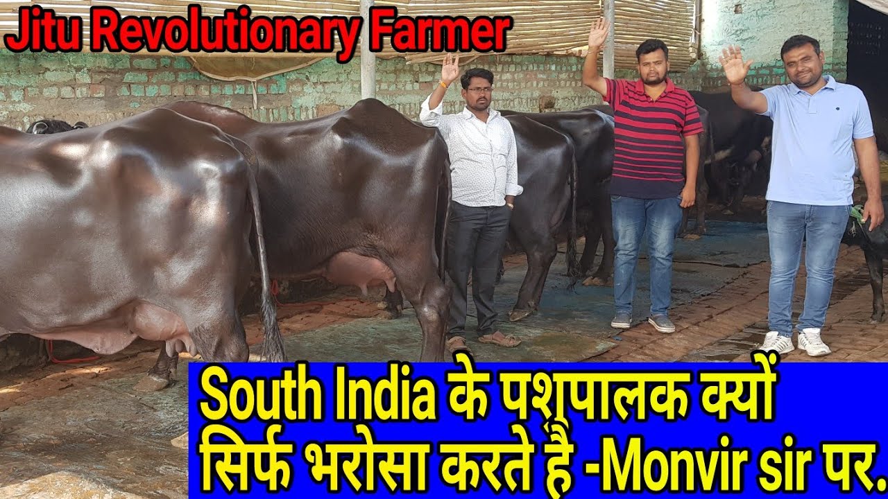 👍South India के पशुपालक क्यों सिर्फ भरोसा करते है- Monvir Kundu sir पर.👍