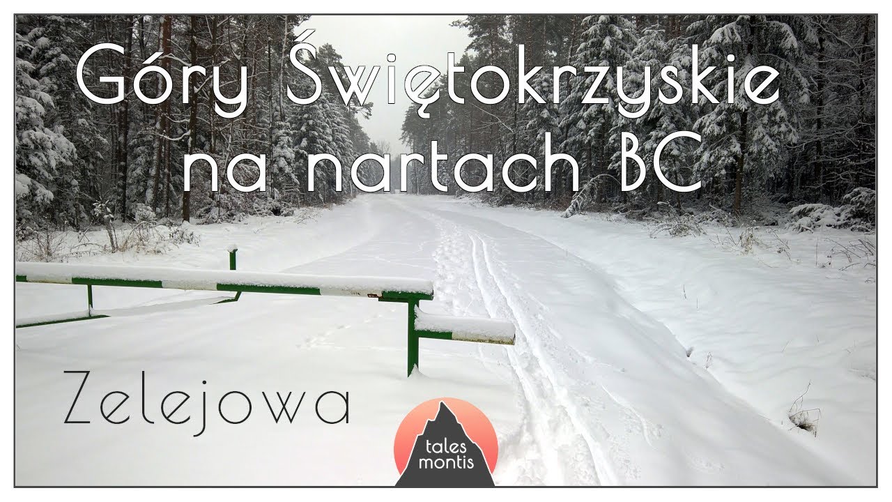 Biegówki - narty śladowe - BC w Górach Świętokrzyskich - Zelejowa - i leśne gęstwiny - na Piekło
