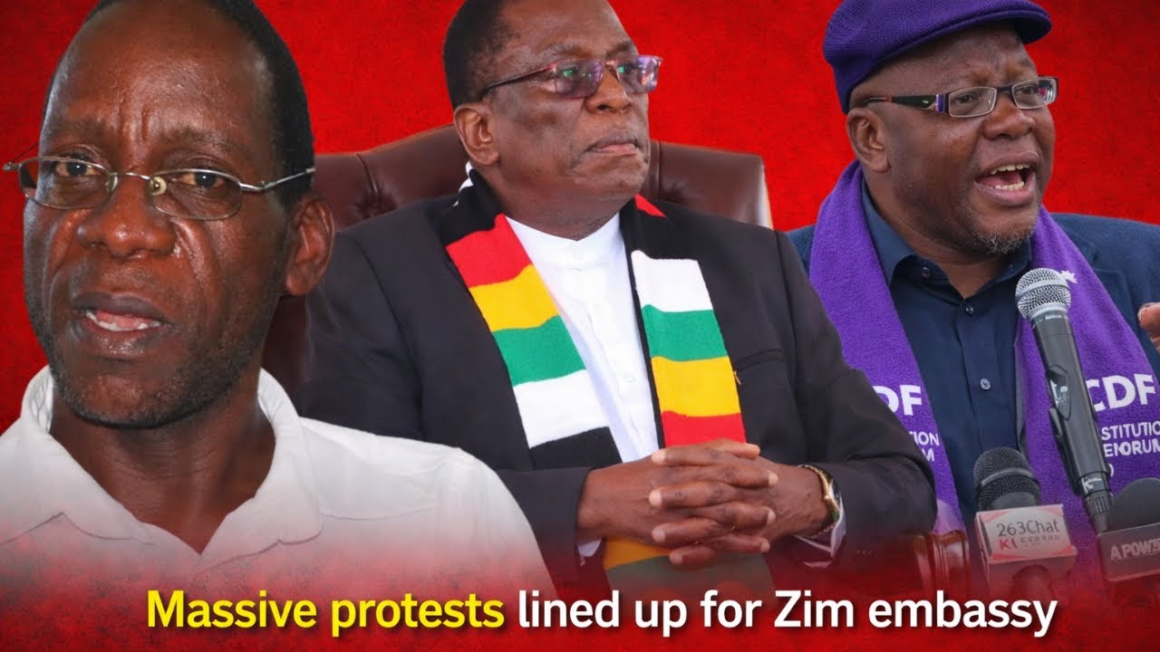 Zimbabweans Plan Huge Protests at Zim Embassy in South Africa | Live Talk