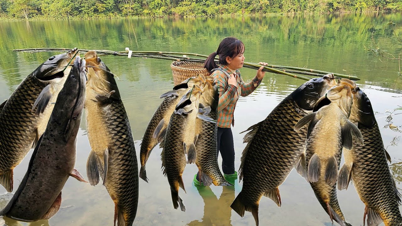 Traditional fishing techniques to catch giant fish - After many days of building a new house.