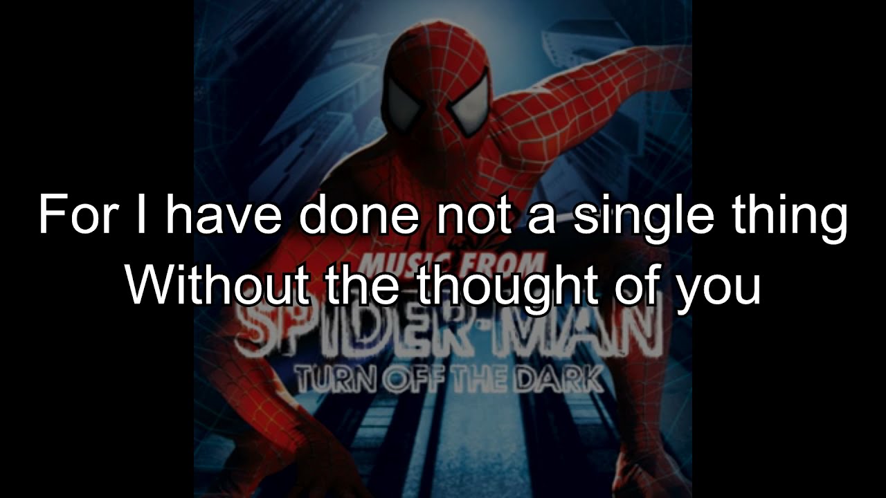 Boy Falls from the Sky - Karaoke w Lyrics