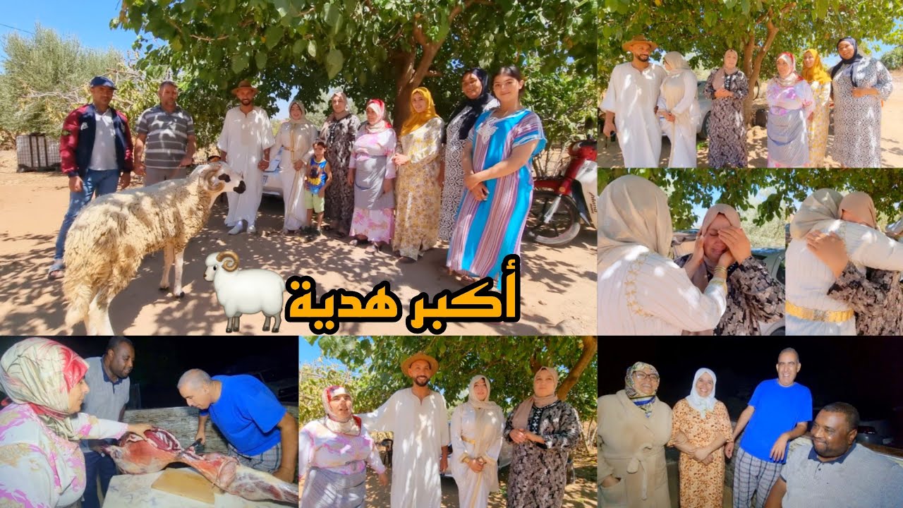 توريا ومنى بكاو😥 وأكبر هدية🐏في اليوم السابع ديال منى❤️❤ الفرحة فرحتين 🥳🥳 